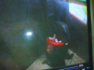 侯某被摁倒割喉。