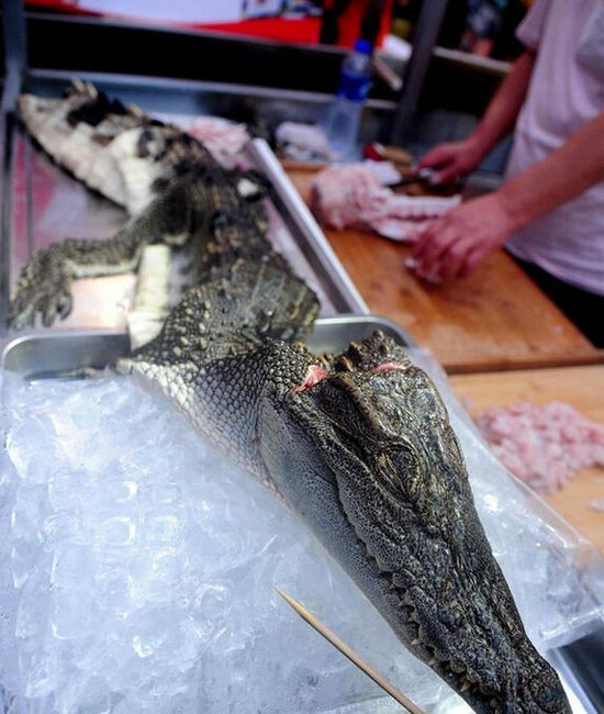 沈陽現(xiàn)“烤鱷魚肉”20元一串現(xiàn)烤現(xiàn)賣(圖)
