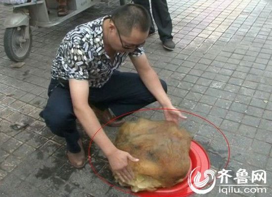 山東棗莊現(xiàn)四十一斤 山東棗莊現(xiàn)四十一斤