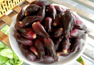 四川多個景區(qū)農(nóng)家樂賣不明野菜 野芹毒芹分不清 四川多個景區(qū)農(nóng)家樂賣不明野菜 野芹毒芹分不清