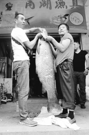 男子湖中釣起70斤大青魚(yú) 折騰2小時(shí)才把魚(yú)捕上船 男子湖中釣起70斤大青魚(yú) 折騰2小時(shí)才把魚(yú)捕上船