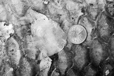 男子湖中釣起70斤大青魚(yú) 折騰2小時(shí)才把魚(yú)捕上船 男子湖中釣起70斤大青魚(yú) 折騰2小時(shí)才把魚(yú)捕上船