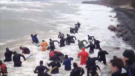 一場暴雨后，俄羅斯加里寧格勒Pionersky鎮(zhèn)，數(shù)十人潛入海水中搜尋琥珀。