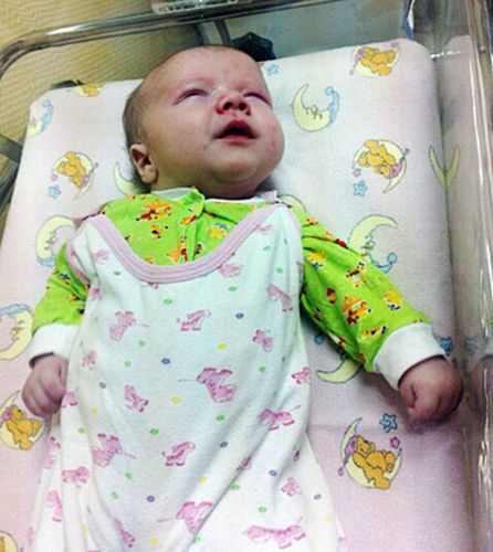 居民認(rèn)為，如果沒(méi)有這只貓的照料，寶寶可能沒(méi)有機(jī)會(huì)活下來(lái)。