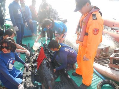 糙齒海豚誤闖漁港傷勢(shì)嚴(yán)重幸被救起（圖）