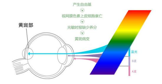 真能亮瞎眼？如何減少手機對眼睛的傷害