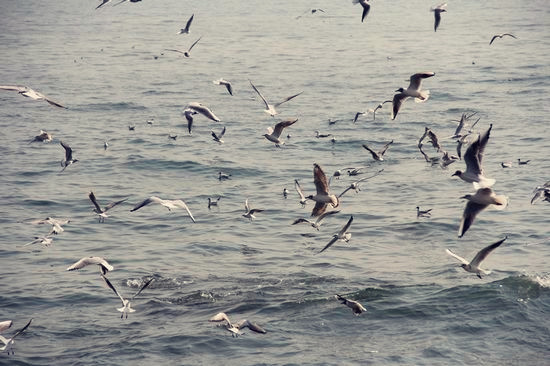 炎熱暑期 海濱城市成熱門(mén)親子游目的地