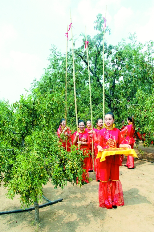 2014中華棗鄉(xiāng)風(fēng)情游暨第十二屆好想你紅棗文化節(jié)開幕 2014中華棗鄉(xiāng)風(fēng)情游暨第十二屆好想你紅棗文化節(jié)開幕