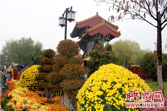 天好、花美 中國開封第32屆菊花文化節(jié)延長一周