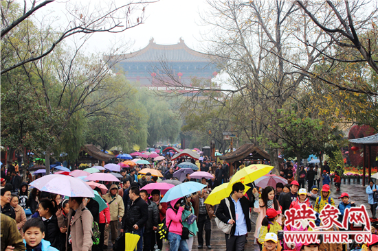 天好、花美 中國開封第32屆菊花文化節(jié)延長一周