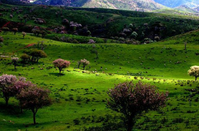 不用花錢的中國好景色 國內(nèi)8個處女風景地
