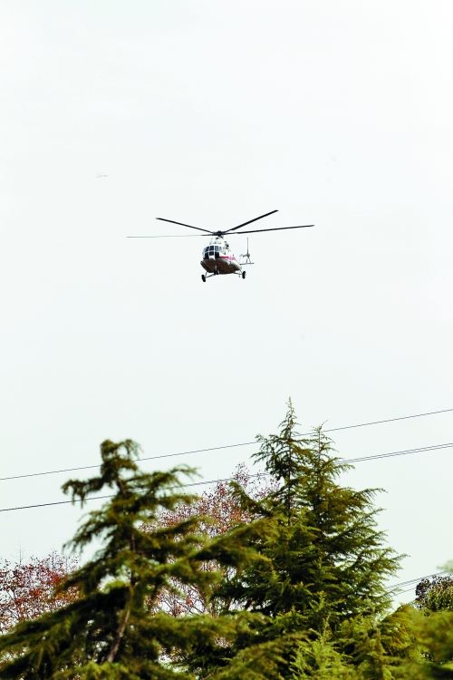 輕拋一點(diǎn)入云去，利眼“鐵鷹”掠地來(lái)