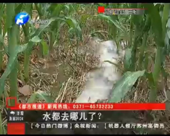 水都去哪了？