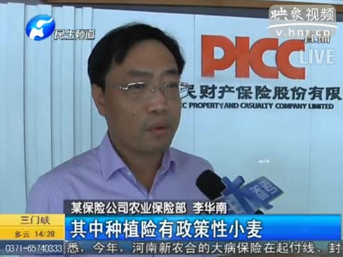 冰雹惹禍 損失能索賠嗎？