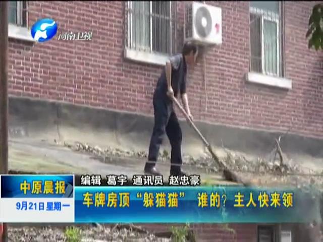 車(chē)牌房頂“躲貓貓”誰(shuí)的？