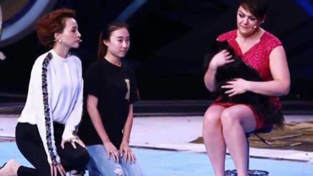 又當(dāng)托？ 董卿節(jié)目現(xiàn)場當(dāng)眾對狗下跪稱被催眠