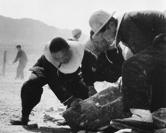 抬石頭，多少人手上都磨出了老繭