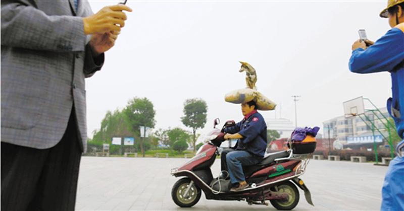 浙江"頂狗哥"走紅網絡