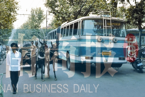 當(dāng)年的伏牛路，驢車和公交車并行